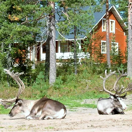 Lapintiira Rovaniemi