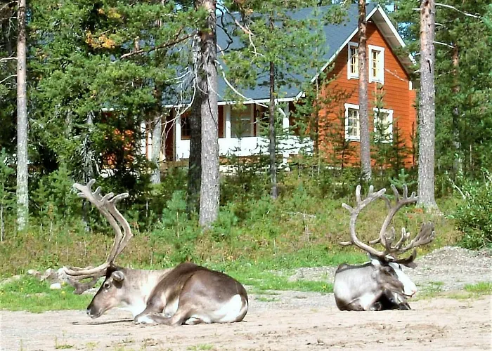 Lapintiira Rovaniemi